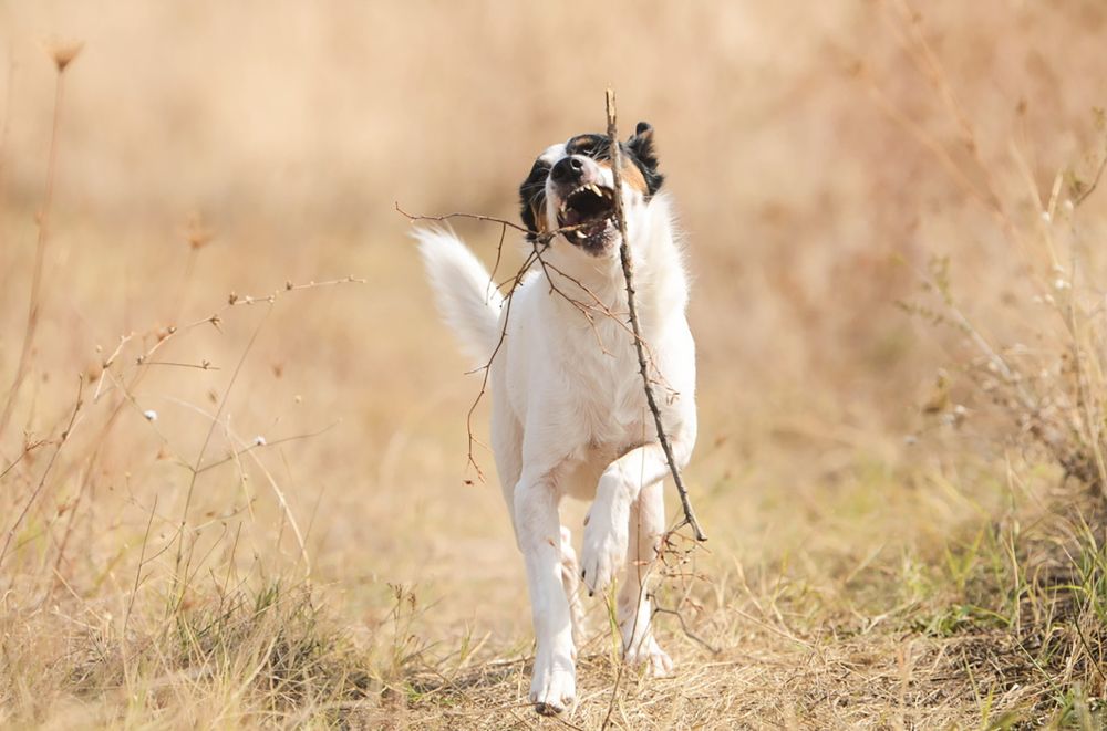 Photograph by Tatiana Osipova