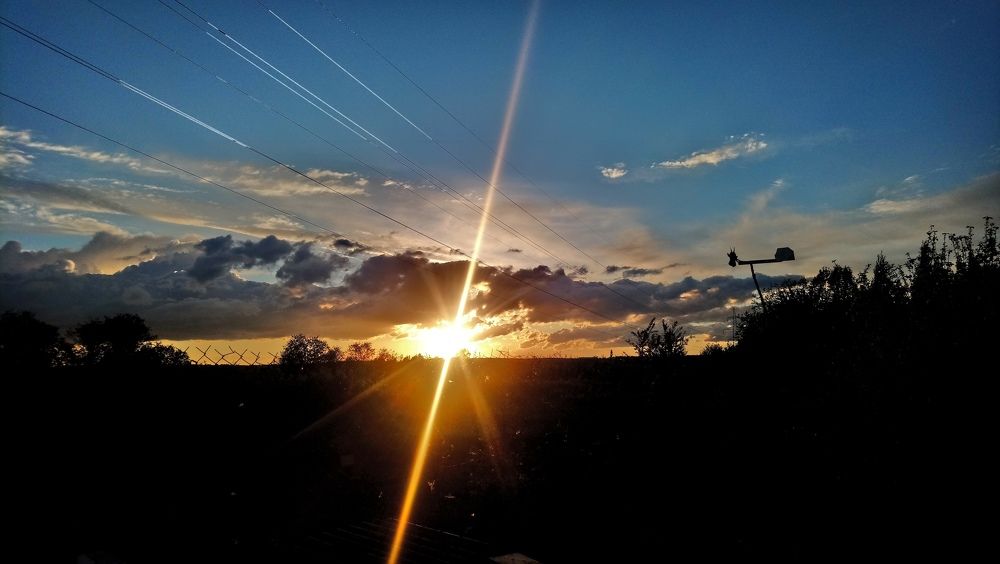 Photograph by Елена Гришина
