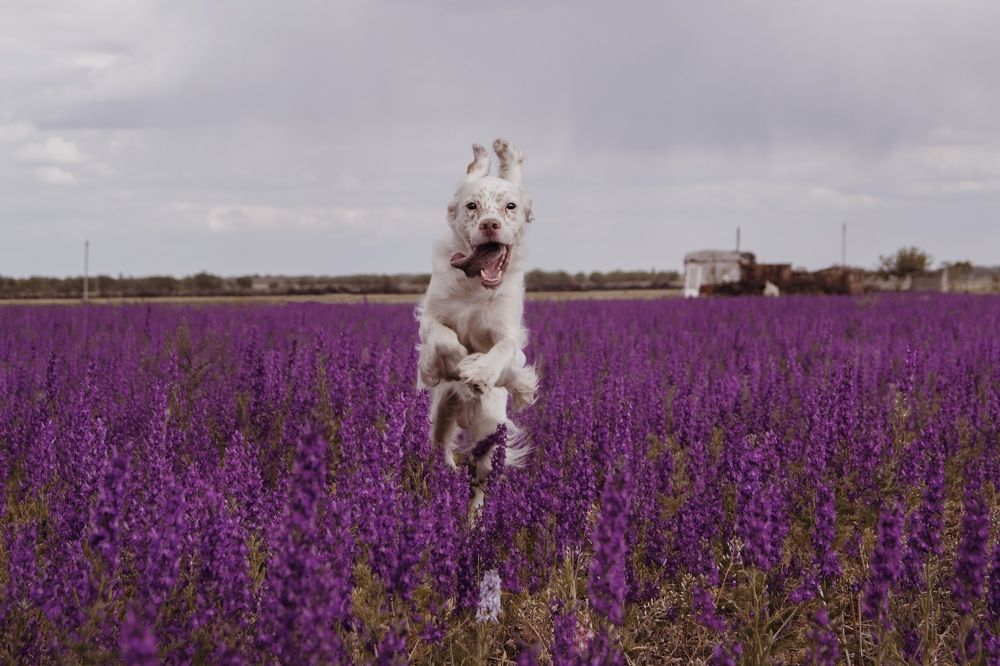 Photograph by Tatiana Osipova