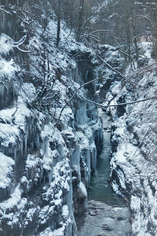 Фотография автора Таня Долгушева