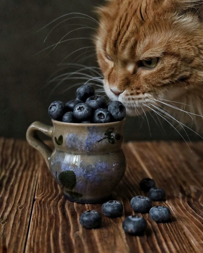 Photograph by Анжелика Медведева