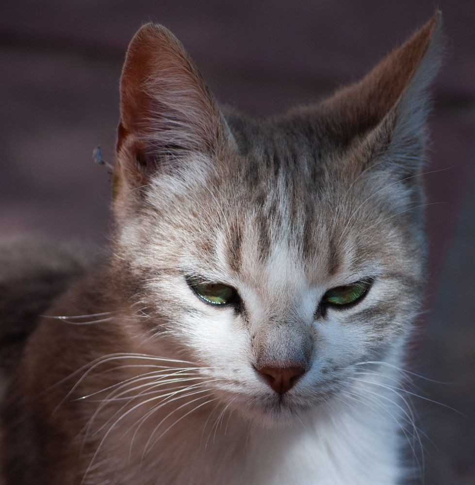 Photograph by Silvina Sánchez