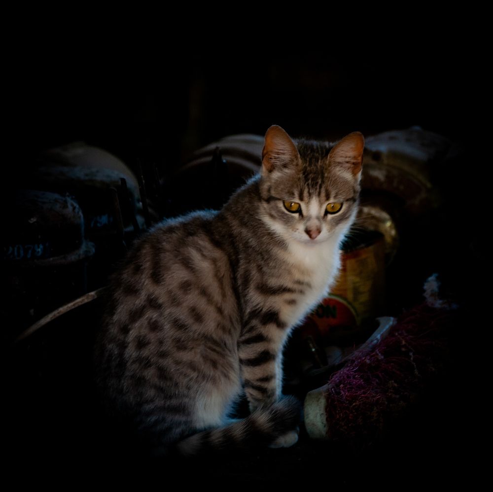 Photograph by Silvina Sánchez