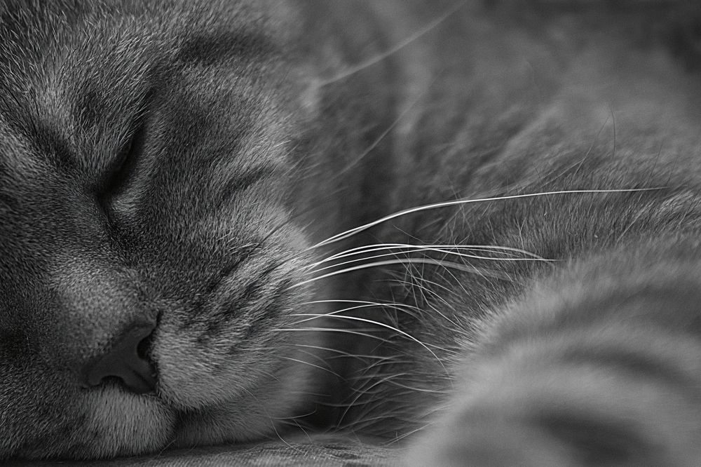 Photograph by Елена Ласун