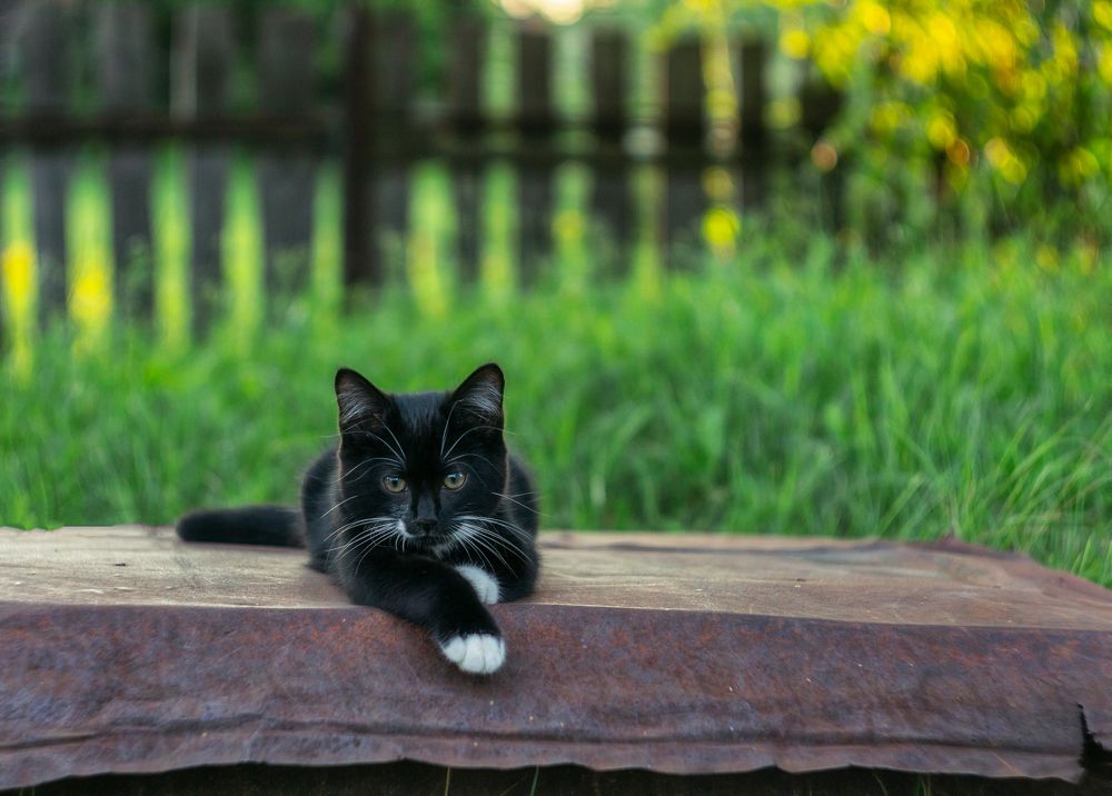 Photograph by Ольга Белова