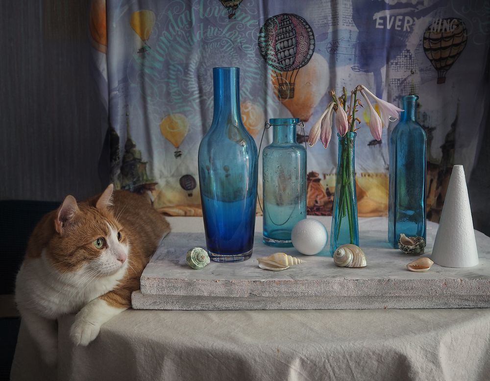 Photograph by Ionika Mink