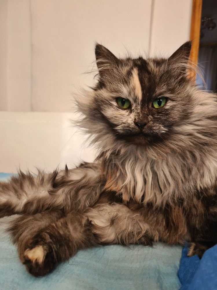 Photograph by Ульяна Митрофанова