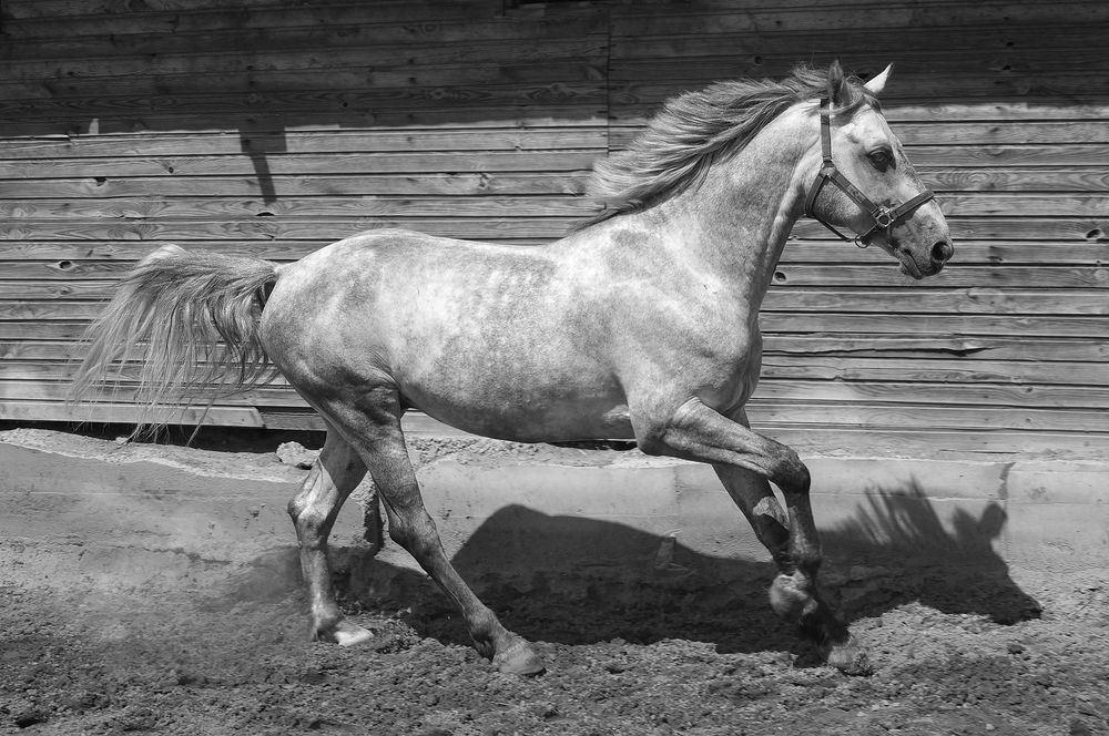 Photograph by Ionika Mink