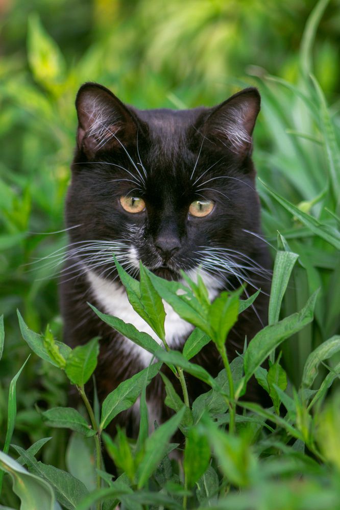 Photograph by Ольга Белова