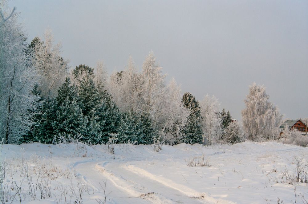 Photograph by Николай Захаров