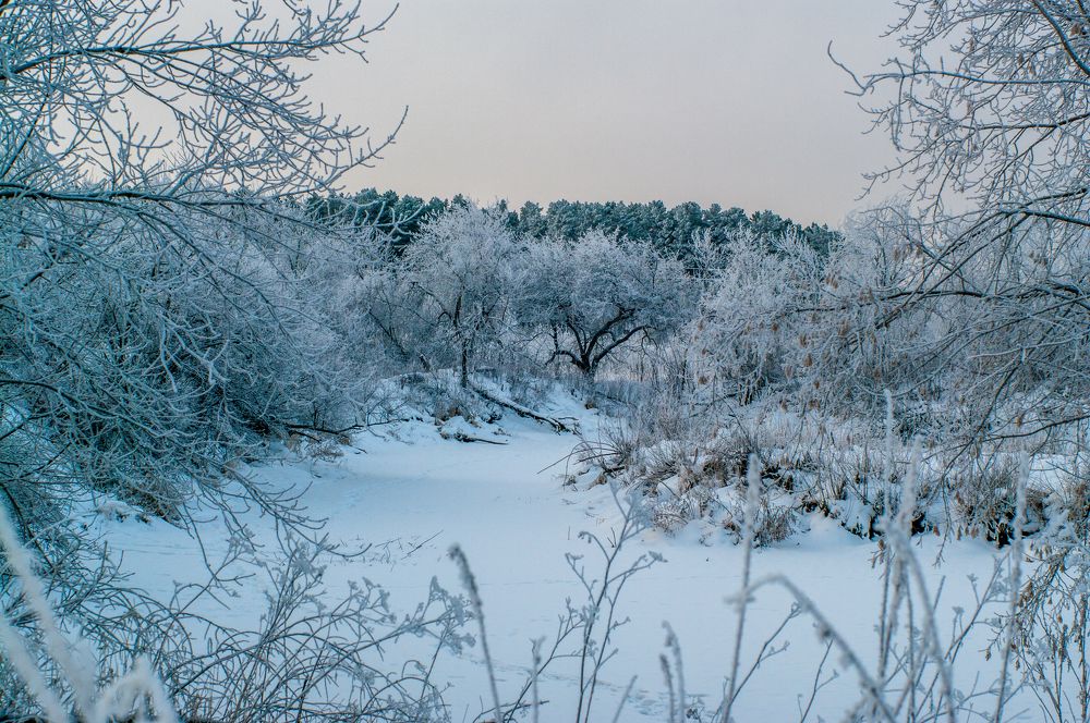 Photograph by Николай Захаров