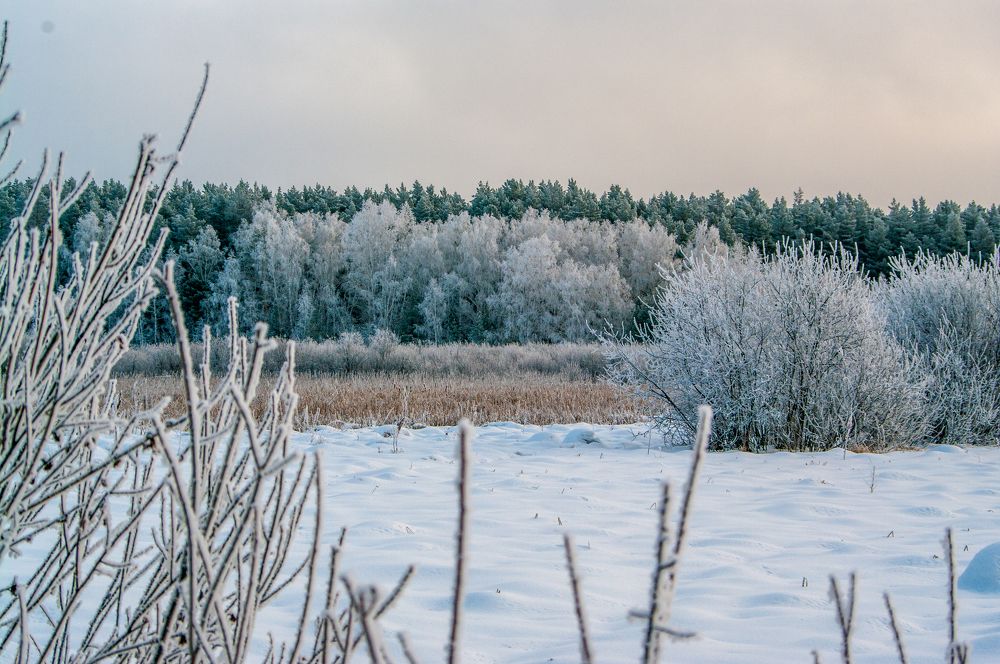 Photograph by Николай Захаров