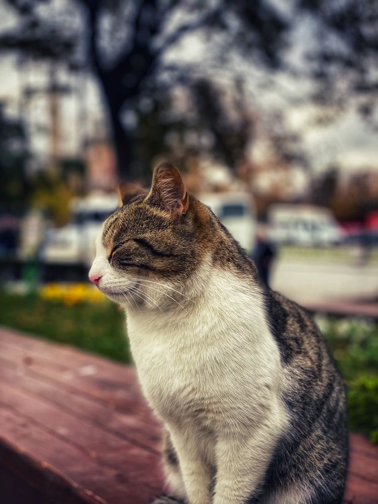 Photograph by Яна Лугинина