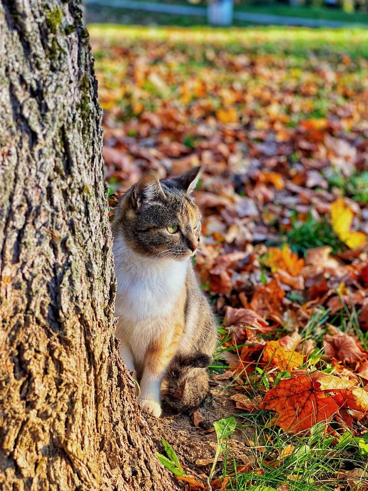 Photograph by Яна Лугинина