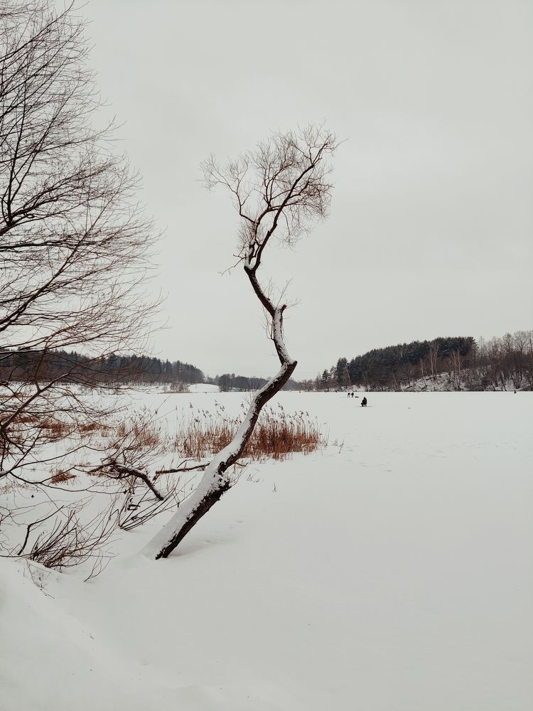 Photograph by Михаил Тумилович