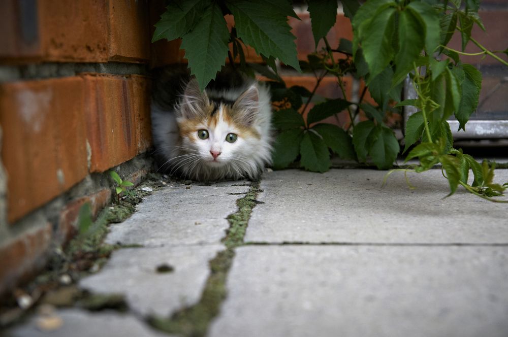 Photograph by Николай Захаров