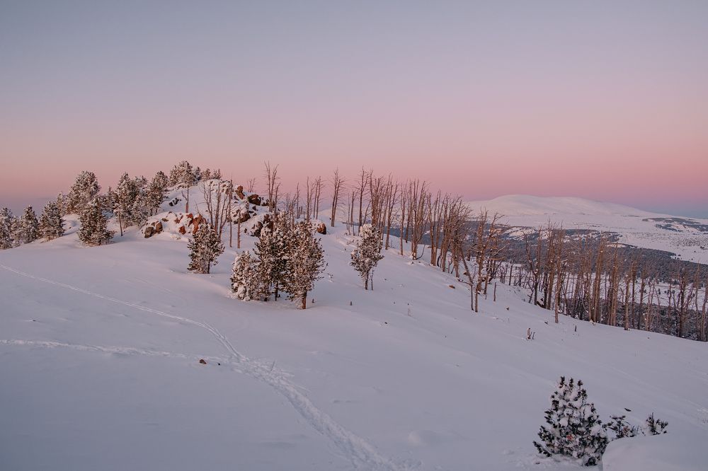 Photograph by Евгений Соколов