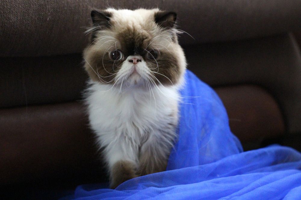 Photograph by Татьяна Симон