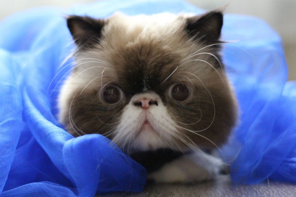 Photograph by Татьяна Симон