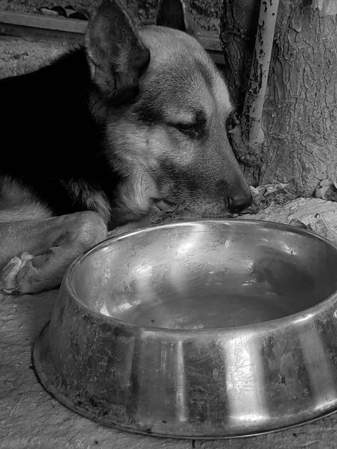 Photo #8736763