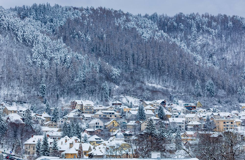 Photograph by Viktoria Burova