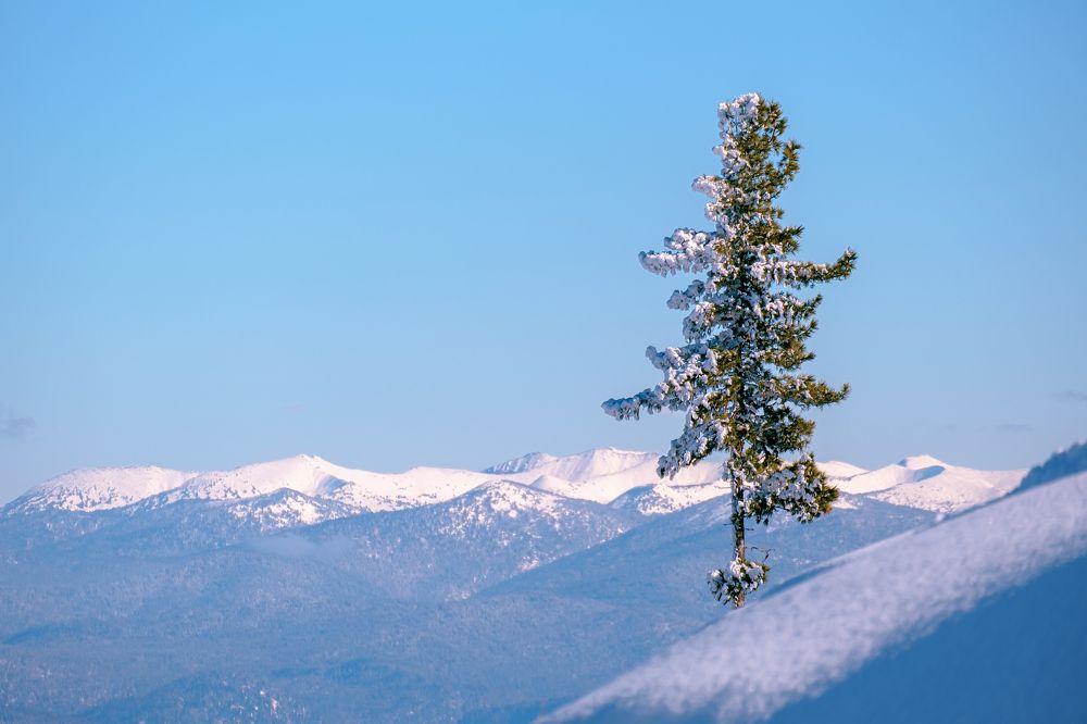 Photograph by Евгений Соколов