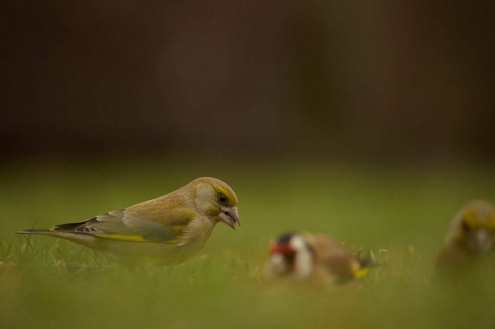 Photograph by Filip Betko