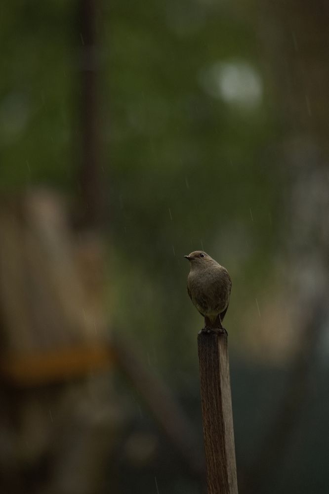 Photograph by Filip Betko