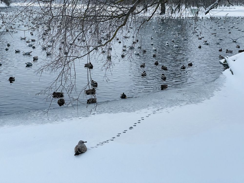 Photograph by Александра Кулеш