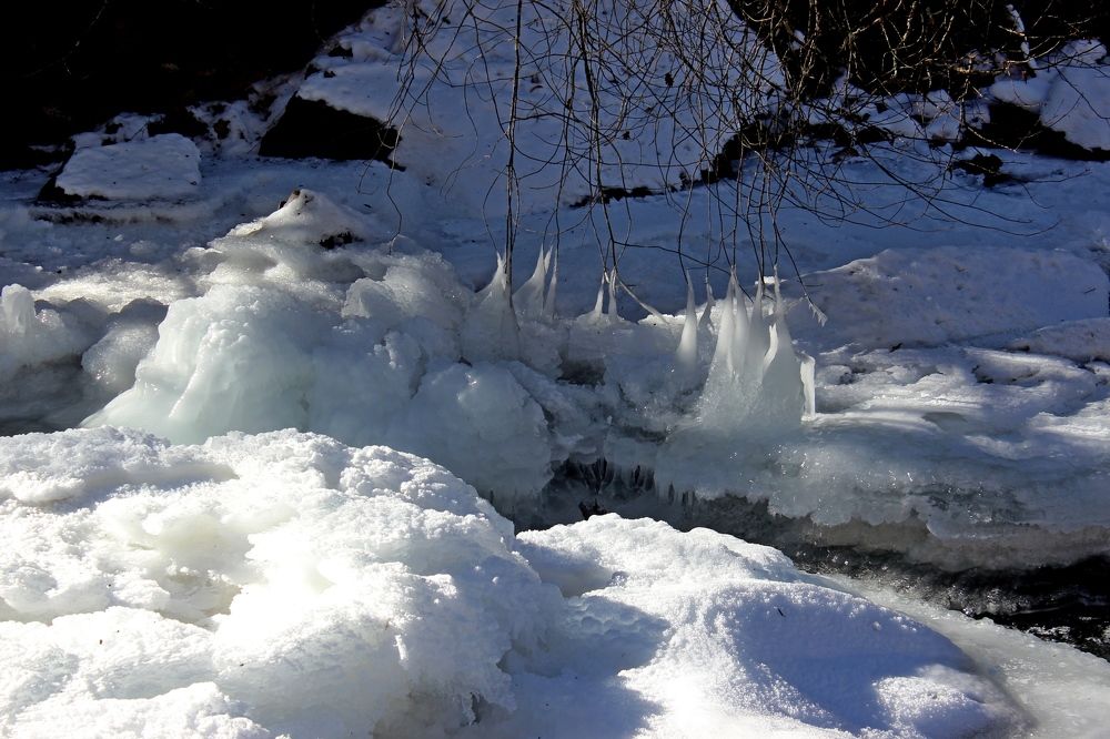 Photograph by Сергей Смоленцев