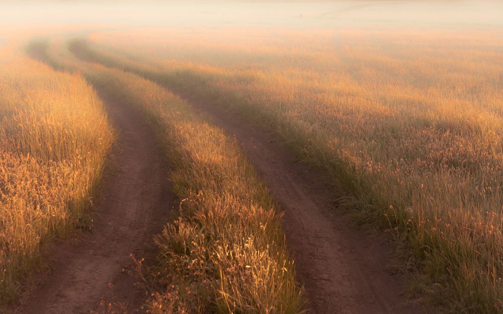 Photograph by Кобец Дмитрий