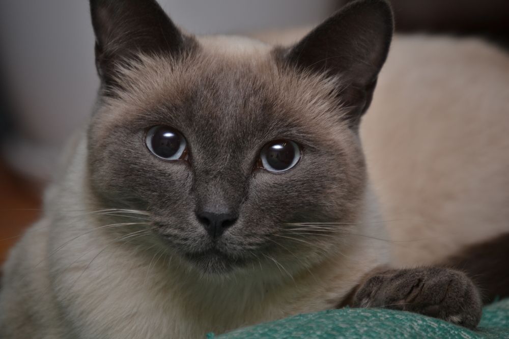 Photograph by Вера Волкова