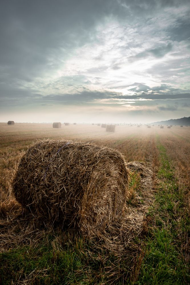 Photograph by Кобец Дмитрий