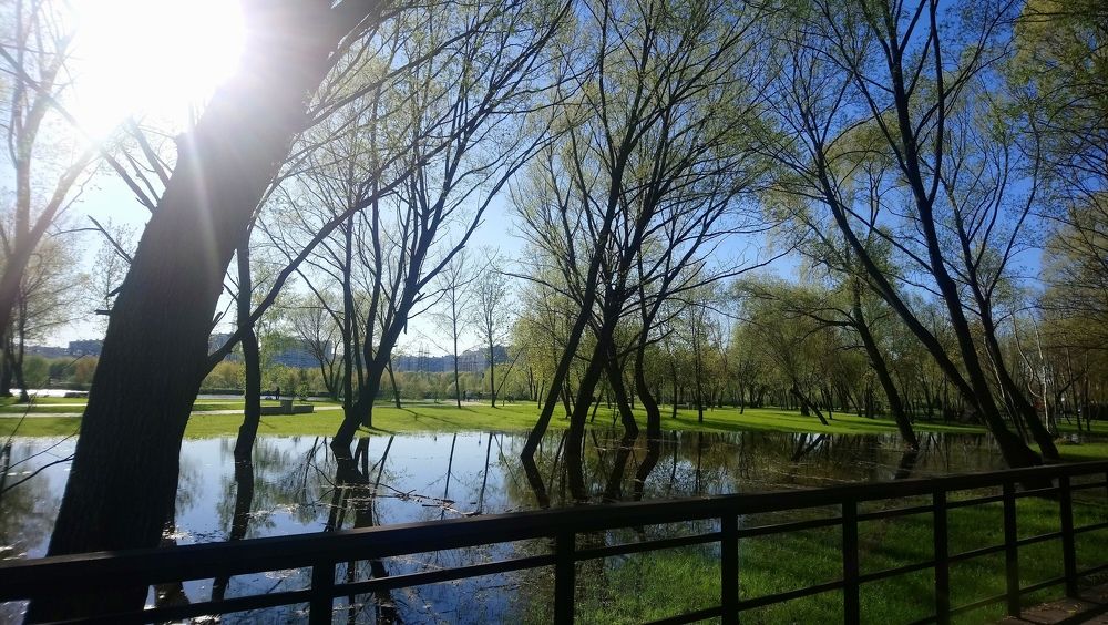 Весне дорогу