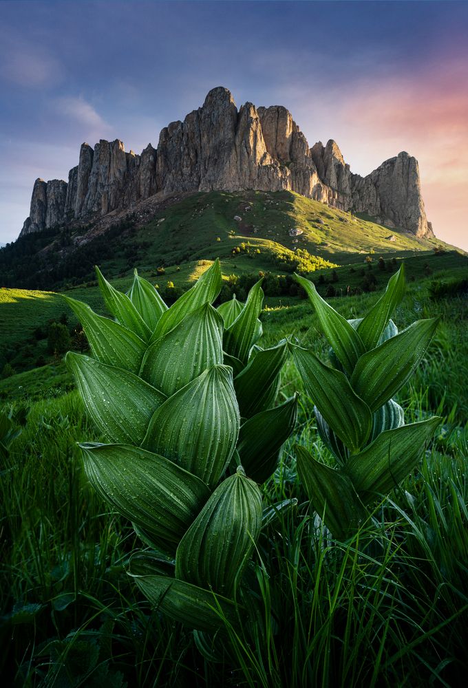 Photograph by Уфимцев Юрий