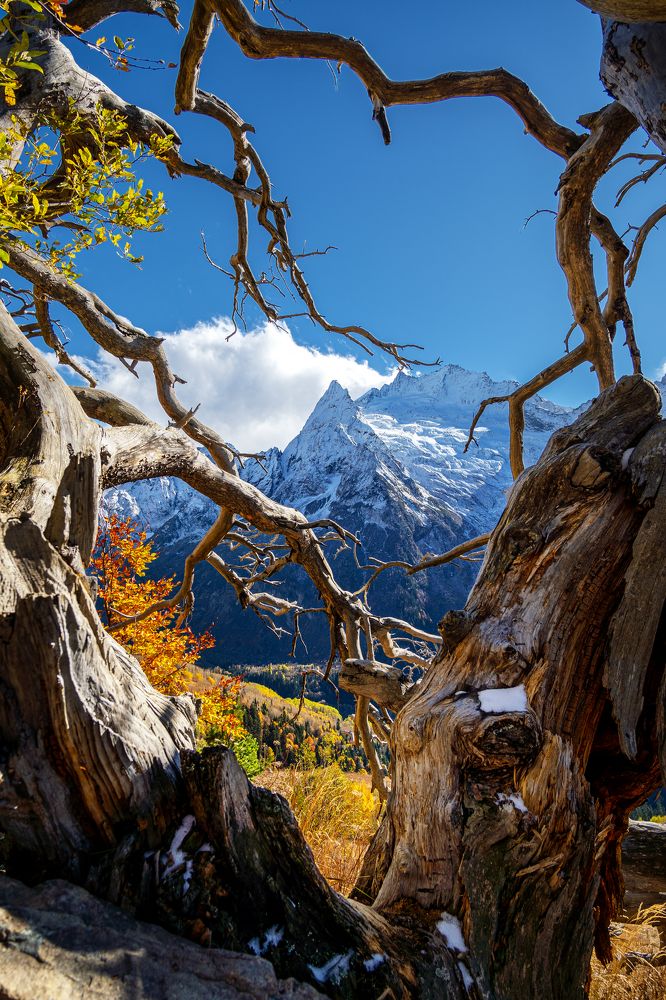 Photograph by Уфимцев Юрий