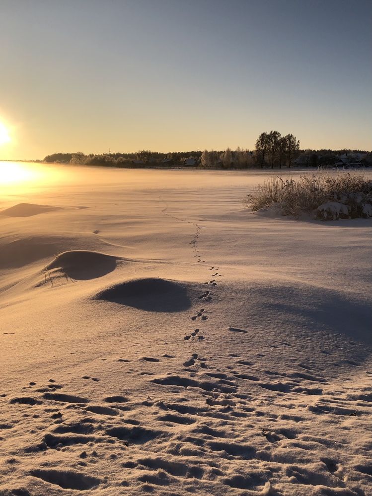 Photograph by Лариса Акинчиц