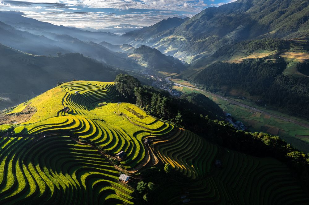 Rice terraces in Mo De