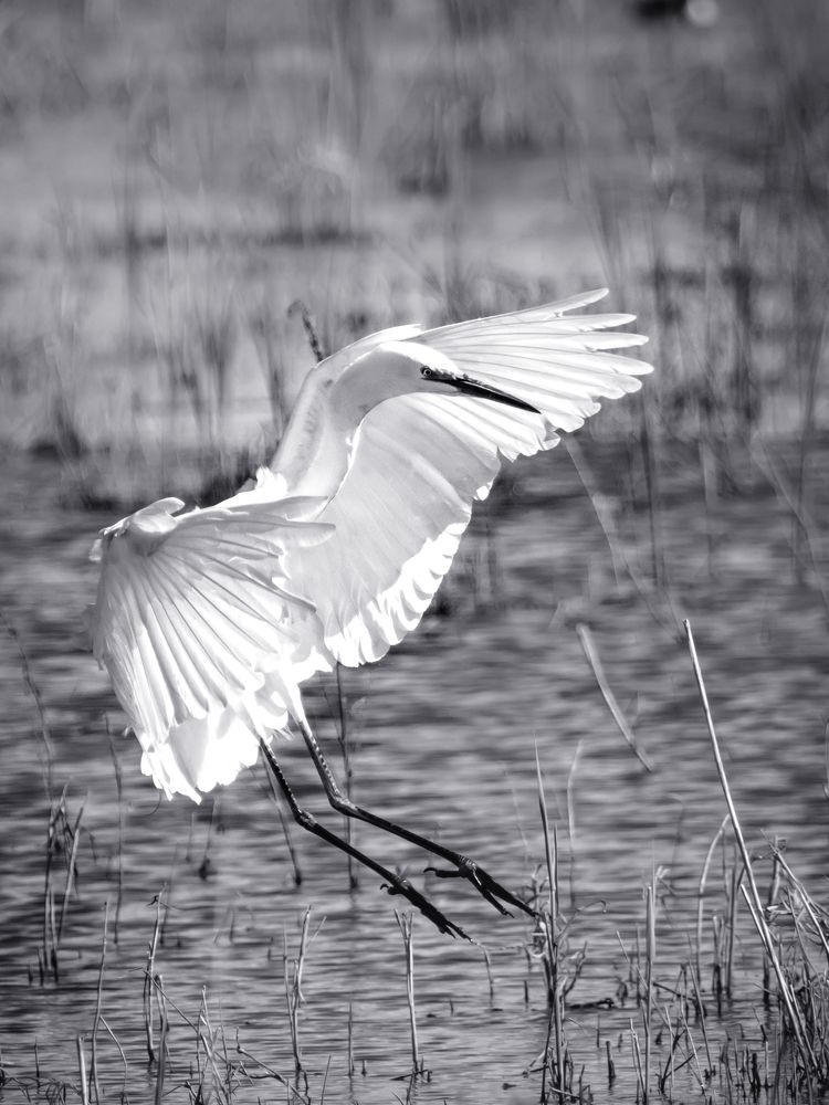 Photograph by Кобец Дмитрий