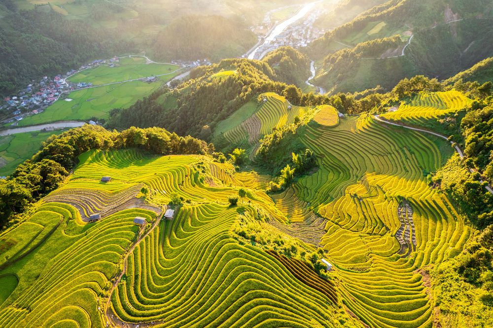 Rice terraces in Mu Cang Chai