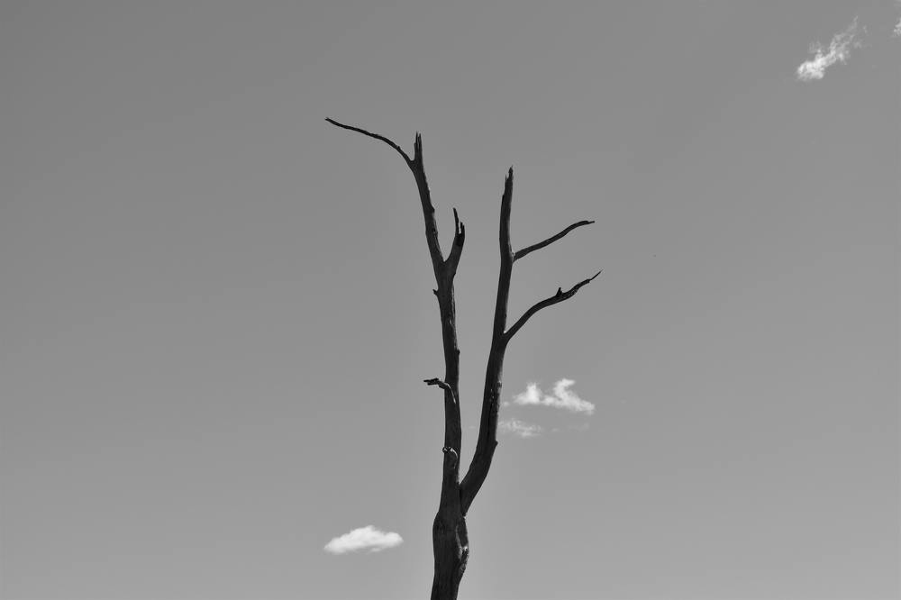 Photograph by Gulustan Aliyeva