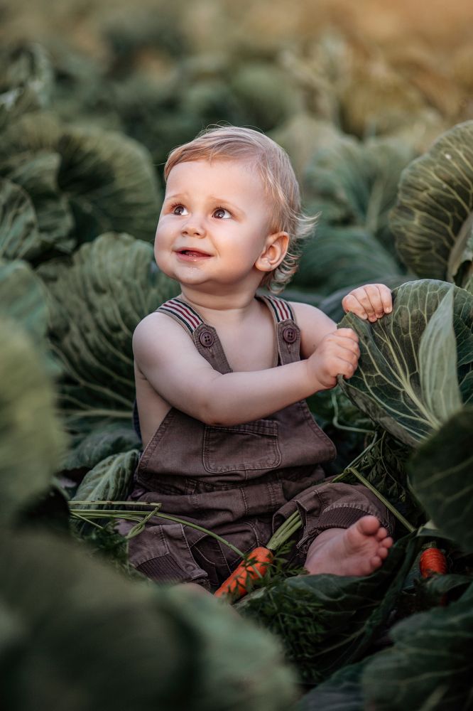 Фотография автора Кристина Догодька