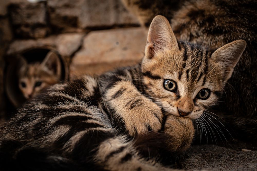 Photograph by Сахаяна Семеновская