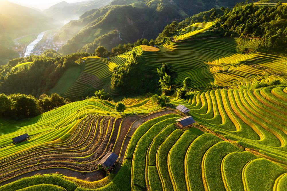 Rice terraces on high mountains