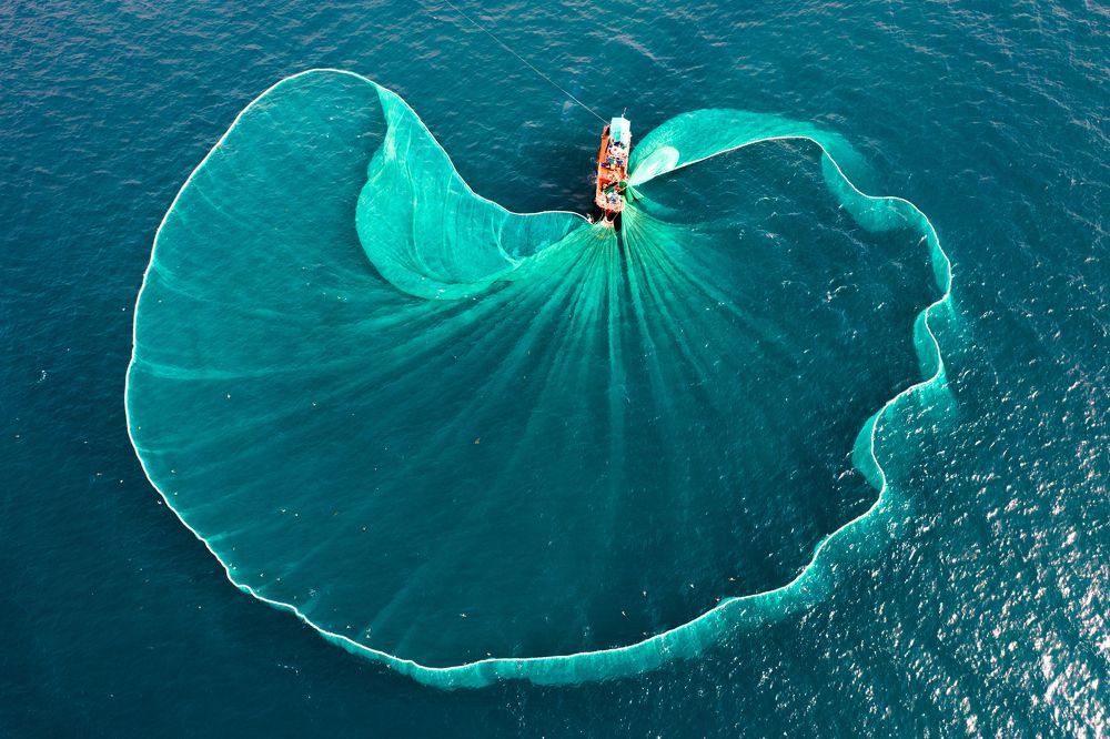 Anchovy exploitation in Phu Yen