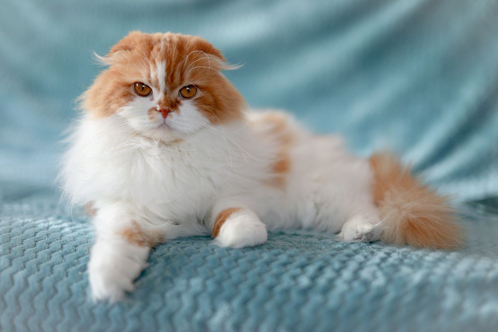 Photograph by Ольга Веретенникова