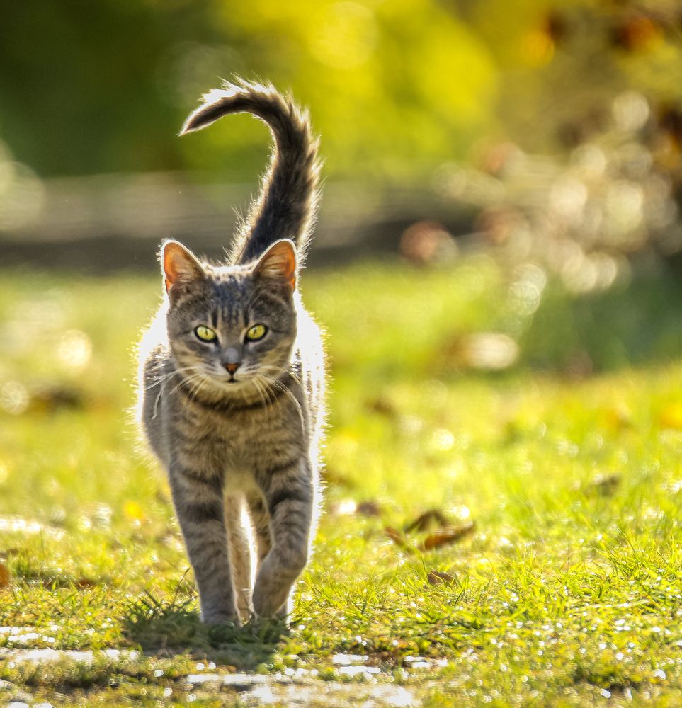 Photograph by Constantin Lazar