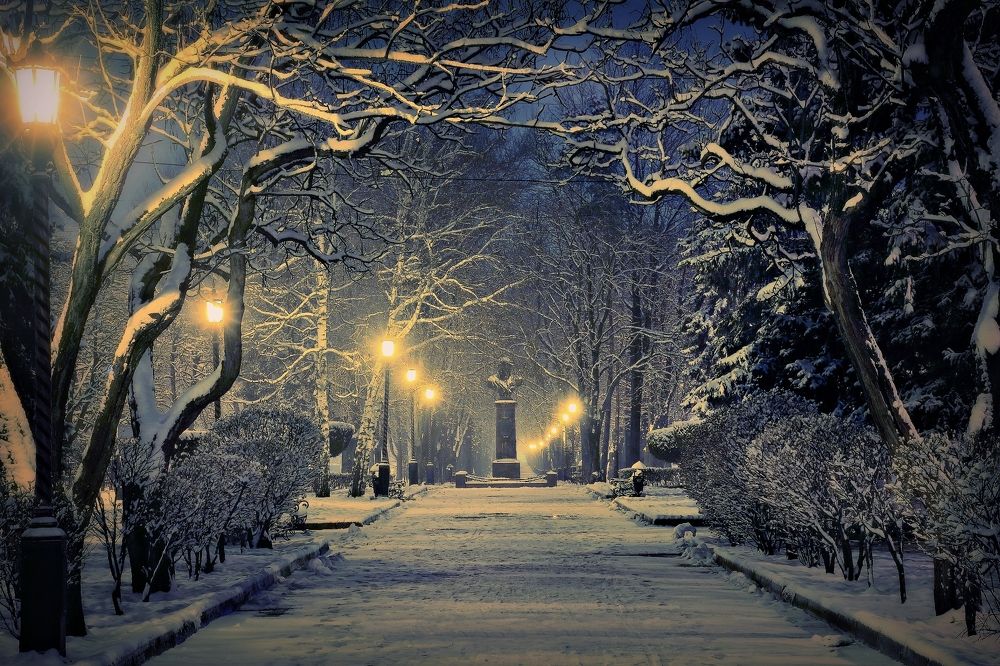 «Зимнее безмолвие»