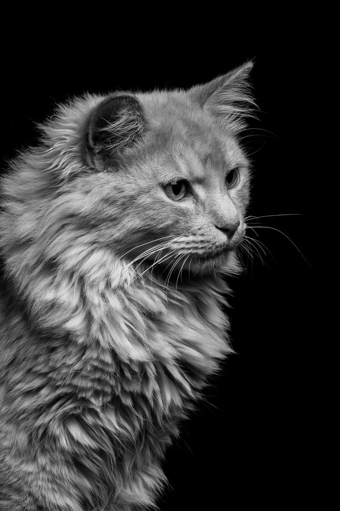 Photograph by Mohammed Rezaiguia