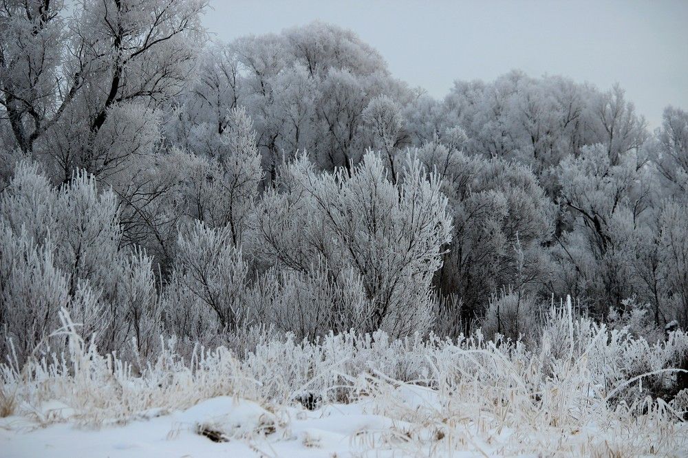 Photograph by Галина Мазур